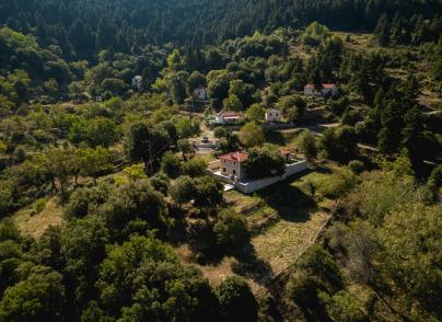 Charming stone mansion, chalet style