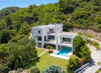 Modern villa nestled in green