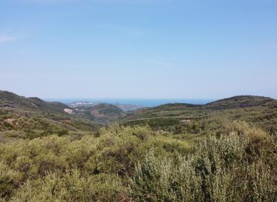 Land plot in a beautiful location
