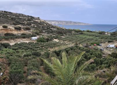 Plot with Olive Trees & Cozy House Close to Sitia and the Sea
