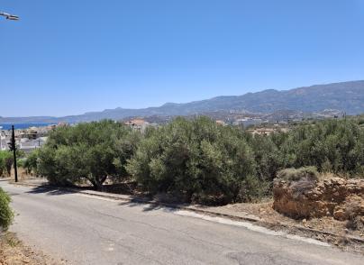 Plot for Development in Sitia Town